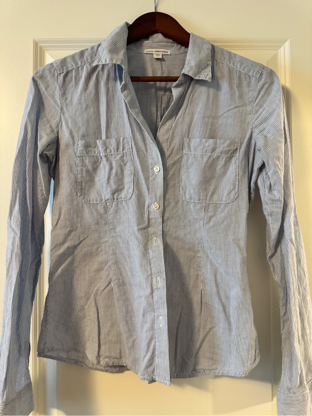 James Perse Blue and White Striped Shirt